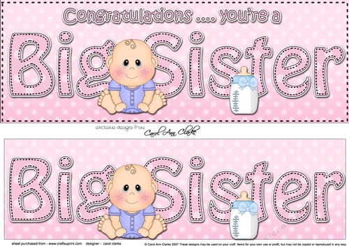 Large DL New Baby Congratulations you are a ... BIG SISTER 3D decoupage