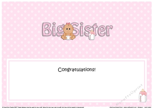 Large DL Ethnic New Baby Congratulations you are a ... BIG SISTER insert