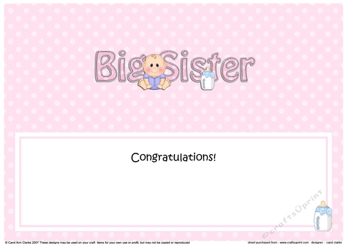 Large DL New Baby Congratulations you are a ... BIG SISTER insert
