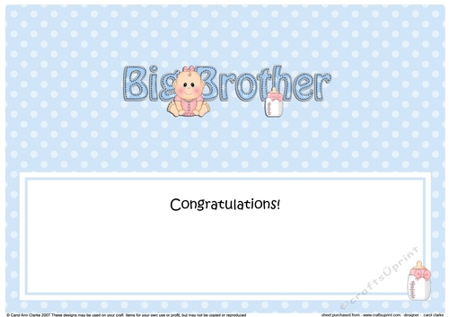 Large DL New Baby Congratulations you are a ... BIG BROTHER insert
