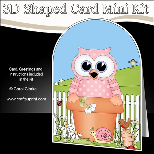 3D Shaped Card  Kit - Flowerpot Friends - Cute Little Hoot Owl