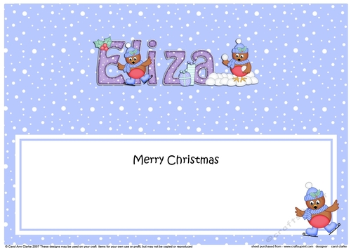 Large DL Merry Christmas ELIZA insert