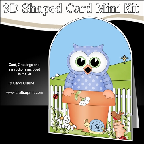 3D Shaped Card  Kit - Flowerpot Friends - Cute Little Hoot Owl