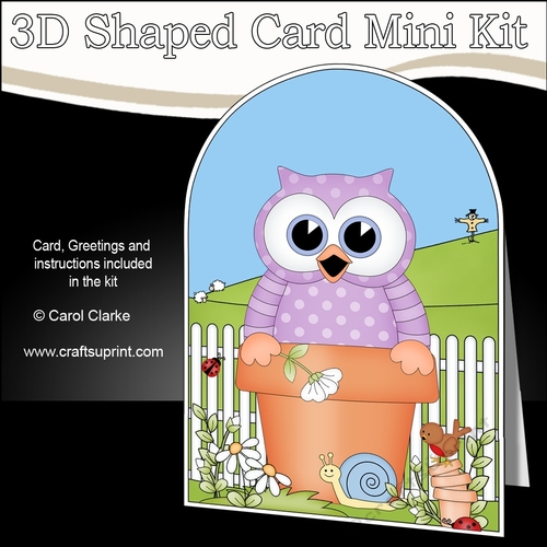 3D Shaped Card  Kit - Flowerpot Friends - Cute Little Hoot Owl