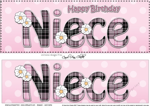 Large DL Happy Birthday NIECE 3D decoupage with tartan