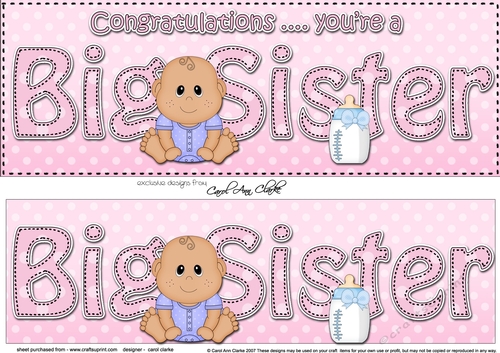 Large DL Ethnic New Baby Congratulations you are a ... BIG SISTER 3D decoupage