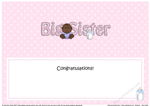 Large DL Ethnic New Baby Congratulations you are a ... BIG SISTER insert