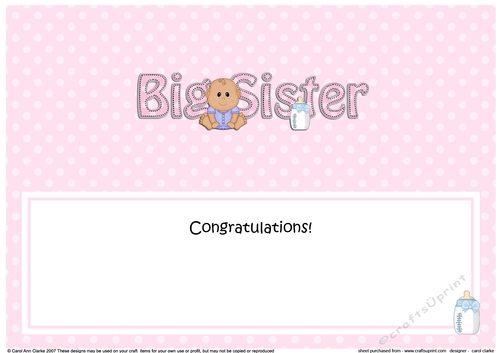 Large DL Ethnic New Baby Congratulations you are a ... BIG SISTER insert