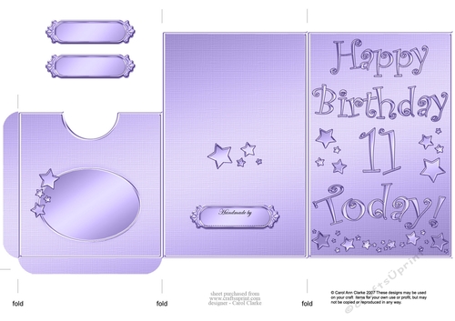 Elegant Metallic 11th Birthday Lottery Wallet Card