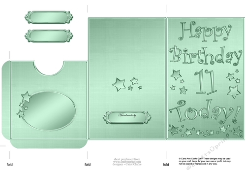 Elegant Metallic 11th Birthday Lottery Wallet Card
