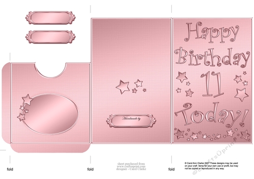 Elegant Metallic 11th Birthday Lottery Wallet Card