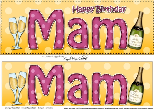 Large DL Happy Birthday MAM 3D decoupage with Champagne