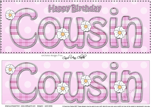Large DL Happy Birthday COUSIN 3D decoupage with tartan