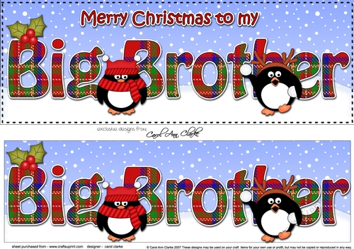Large DL Merry Christmas to my BIG BROTHER 3D decoupage with Tartan Penguins