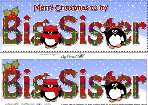 Large DL Merry Christmas to my BIG SISTER 3D decoupage with Tartan Penguins