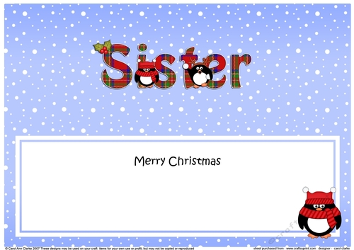 Large DL Merry Christmas SISTER insert with Tartan Penguins