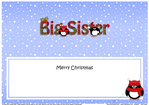 Large DL Merry Christmas BIG SISTER insert with Tartan Penguins