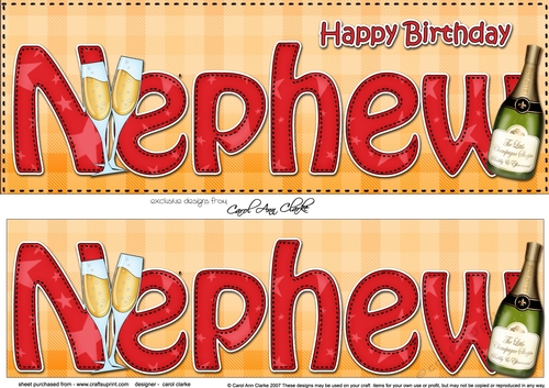 Large DL Happy Birthday NEPHEW 3D decoupage with Champagne