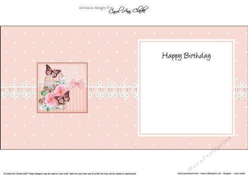 Pretty Flowers & Butterfly Birdcage square landscape insert
