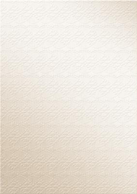 Spring Flowers and Lace Matching Vellum