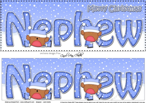Large DL Merry Christmas NEPHEW 3D decoupage with Robin