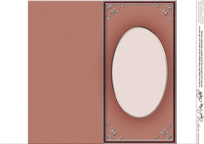 Dl 'silver Metallic Frame' Card Front or Insert