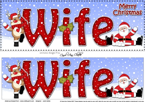 Large DL Merry Christmas WIFE with Santa & Rudolph 3D decoupage 