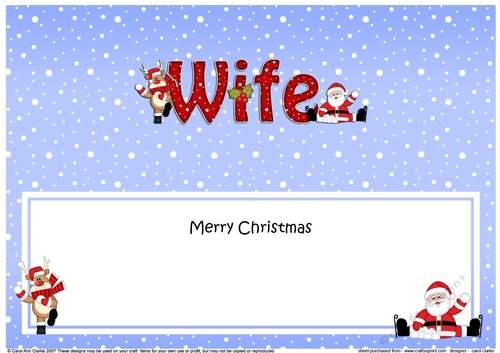 Large DL Merry Christmas WIFE with Santa & Rudolph insert