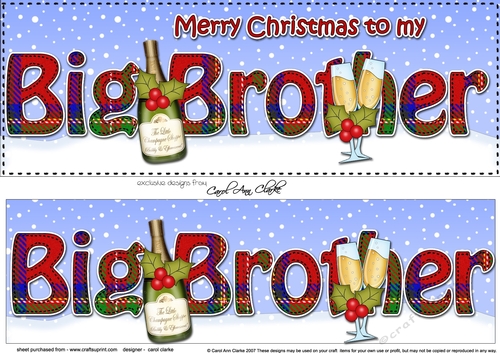 Large DL Merry Christmas BIG BROTHER 3D decoupage with Champagne