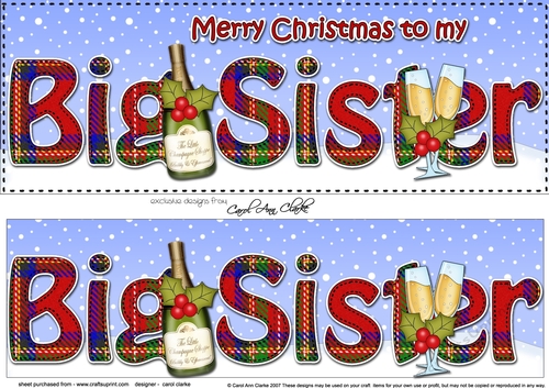 Large DL Merry Christmas BIG SISTER 3D decoupage with Champagne