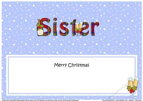 Large DL Merry Christmas SISTER insert with Champagne