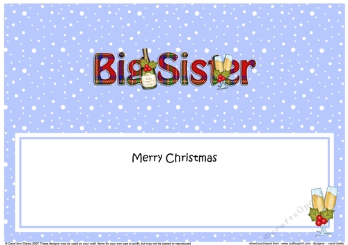 Large DL Merry Christmas BIG SISTER insert with Champagne