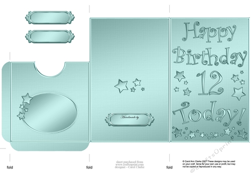 Elegant Metallic 12th Birthday Lottery Wallet Card
