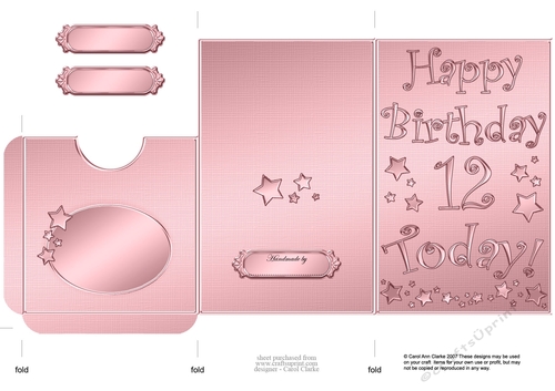 Elegant Metallic 12th Birthday Lottery Wallet Card