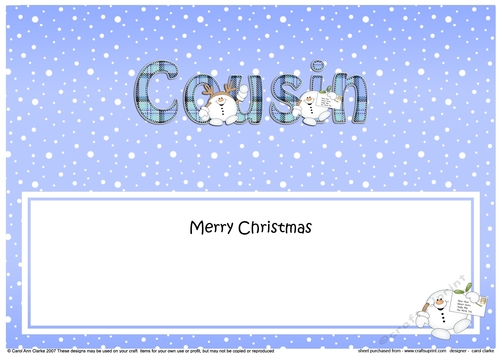 Large DL Merry Christmas COUSIN insert with Tartan Snowball Sam
