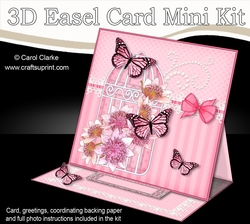3D Easel Card Mini Kit - Pretty Floral Birdcage with Butterflies