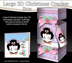 3D Large Christmas Cracker Box - Pip Penguins is Carol Singing