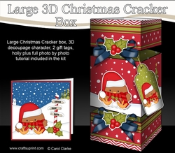 3D Large Christmas Cracker Box Mini Kit - Bobbin Robin is Snowballing