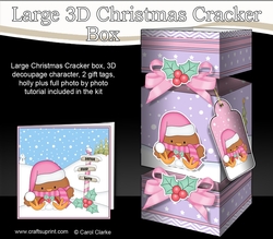 3D Large Christmas Cracker Box Mini Kit - Bobbin Robin is Snowballing