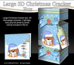 3D Large Christmas Cracker Box Mini Kit - Bobbin Robin is Carol Singing