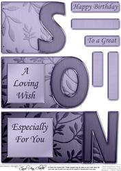 Son Elegant Metallic Book Sheet