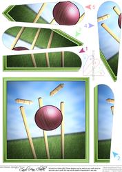 Cricket Quick Card with Fan Pyramage Topper