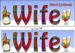 Large DL Merry Christmas WIFE 3D decoupage with Champagne