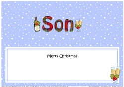 Large DL Merry Christmas SON insert with Champagne