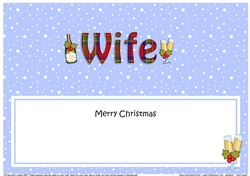 Large DL Merry Christmas WIFE insert with Champagne