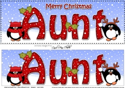 Large DL Merry Christmas AUNT 3D decoupage