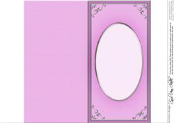 Dl 'silver Metallic Frame' Card Front or Insert
