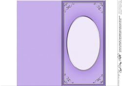 Dl 'silver Metallic Frame' Card Front or Insert
