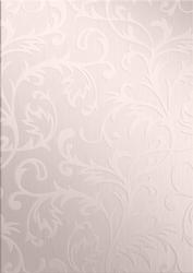 Elegant Metallic Greeting Matching Vellum
