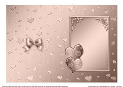 Elegant Romance Matching Insert 5 x 7 Portrait